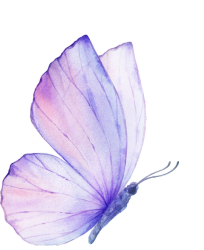 Butterfly - Adults - Home