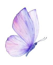 Service Areas Butterfly