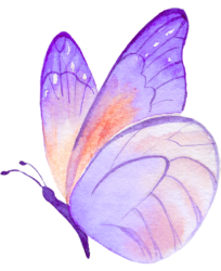 Butterfly - Home - Educators